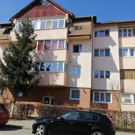 Studio Acasa Sibiu Bagian luar foto