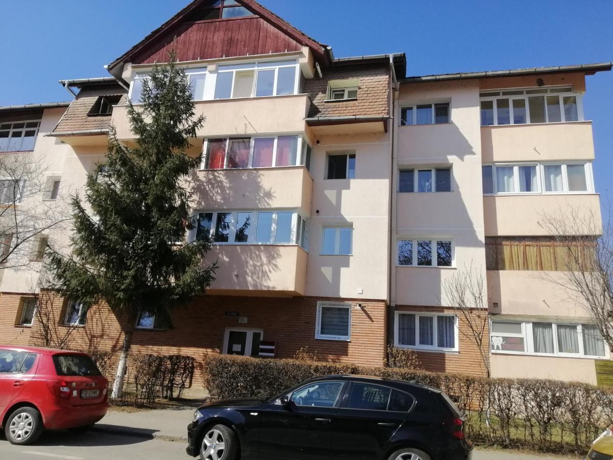 Studio Acasa Sibiu Bagian luar foto